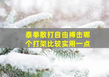 泰拳散打自由搏击哪个打架比较实用一点