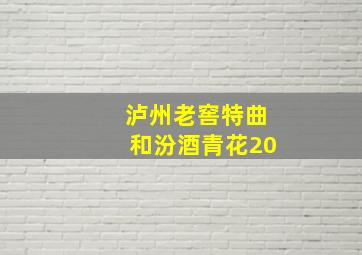 泸州老窖特曲和汾酒青花20