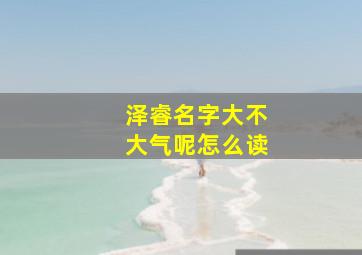 泽睿名字大不大气呢怎么读