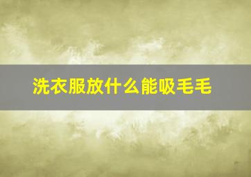 洗衣服放什么能吸毛毛