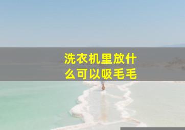 洗衣机里放什么可以吸毛毛