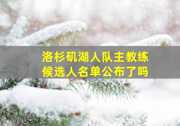 洛杉矶湖人队主教练候选人名单公布了吗