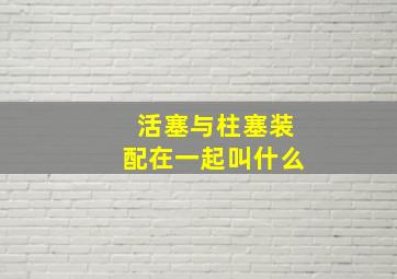 活塞与柱塞装配在一起叫什么