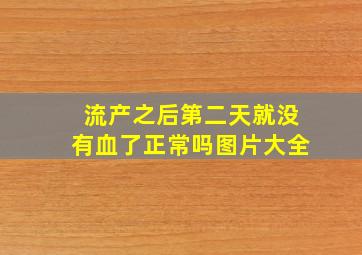 流产之后第二天就没有血了正常吗图片大全