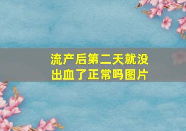 流产后第二天就没出血了正常吗图片