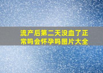 流产后第二天没血了正常吗会怀孕吗图片大全