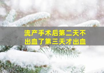 流产手术后第二天不出血了第三天才出血