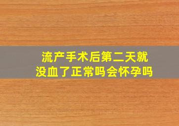 流产手术后第二天就没血了正常吗会怀孕吗