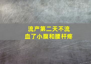 流产第二天不流血了小腹和腰杆疼