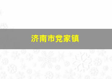 济南市党家镇