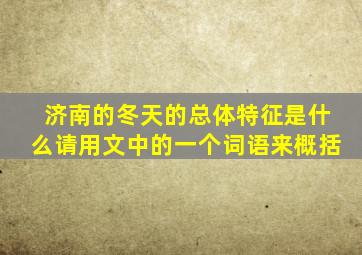 济南的冬天的总体特征是什么请用文中的一个词语来概括