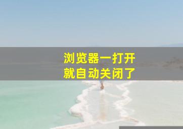 浏览器一打开就自动关闭了