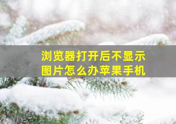 浏览器打开后不显示图片怎么办苹果手机