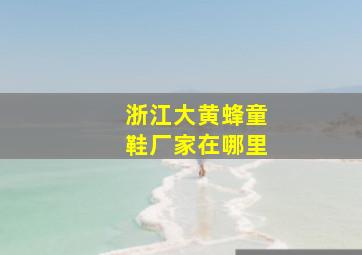 浙江大黄蜂童鞋厂家在哪里