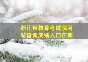 浙江省教育考试院网站查询成绩入口在哪