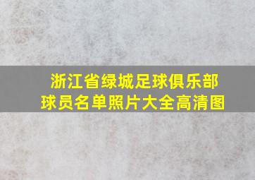 浙江省绿城足球俱乐部球员名单照片大全高清图