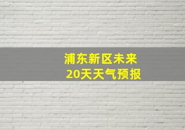 浦东新区未来20天天气预报