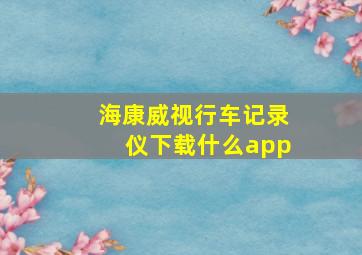 海康威视行车记录仪下载什么app