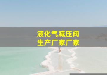 液化气减压阀生产厂家厂家