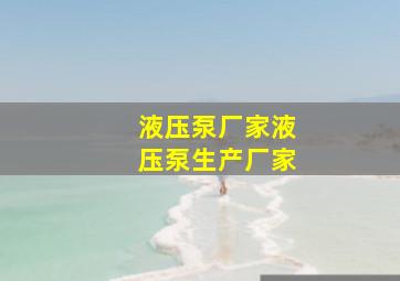 液压泵厂家液压泵生产厂家