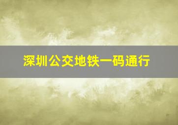 深圳公交地铁一码通行