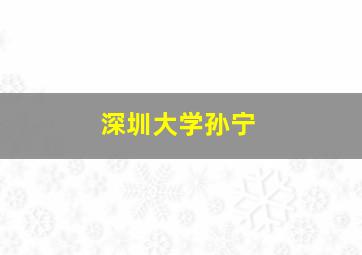 深圳大学孙宁