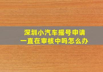 深圳小汽车摇号申请一直在审核中吗怎么办