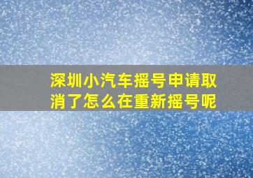 深圳小汽车摇号申请取消了怎么在重新摇号呢