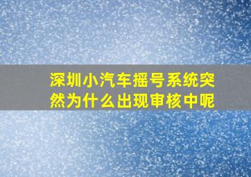 深圳小汽车摇号系统突然为什么出现审核中呢