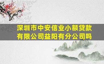 深圳市中安信业小额贷款有限公司益阳有分公司吗