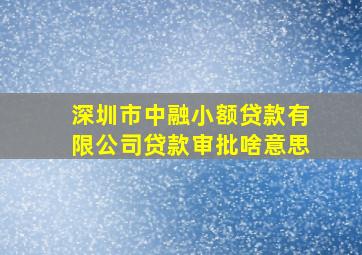 深圳市中融小额贷款有限公司贷款审批啥意思