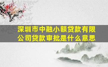 深圳市中融小额贷款有限公司贷款审批是什么意思