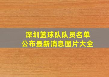 深圳篮球队队员名单公布最新消息图片大全