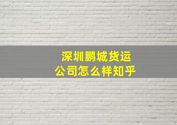 深圳鹏城货运公司怎么样知乎