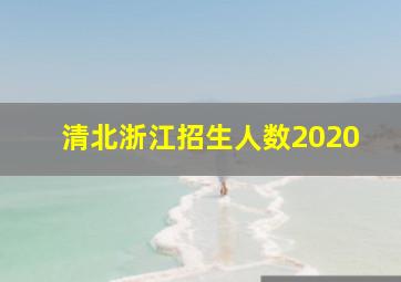 清北浙江招生人数2020