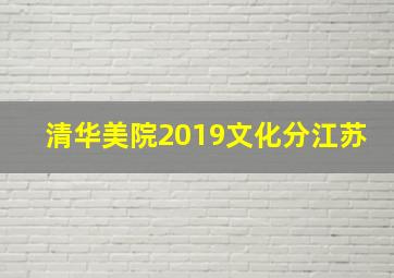 清华美院2019文化分江苏