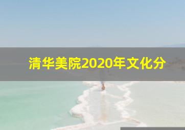 清华美院2020年文化分