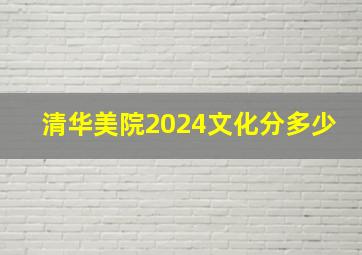 清华美院2024文化分多少