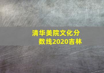 清华美院文化分数线2020吉林