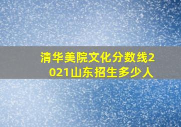 清华美院文化分数线2021山东招生多少人