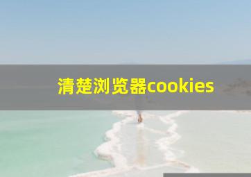 清楚浏览器cookies