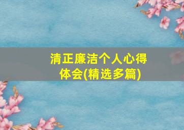 清正廉洁个人心得体会(精选多篇)