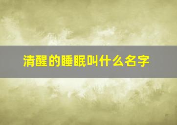 清醒的睡眠叫什么名字