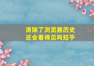 清除了浏览器历史还会看得见吗知乎