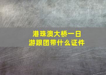 港珠澳大桥一日游跟团带什么证件