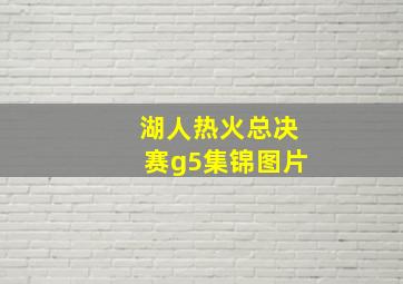 湖人热火总决赛g5集锦图片