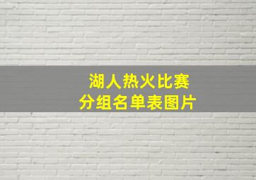 湖人热火比赛分组名单表图片