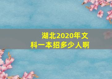 湖北2020年文科一本招多少人啊