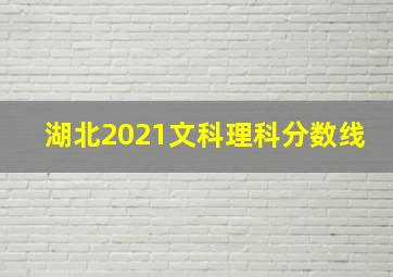 湖北2021文科理科分数线