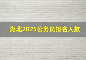 湖北2025公务员报名人数